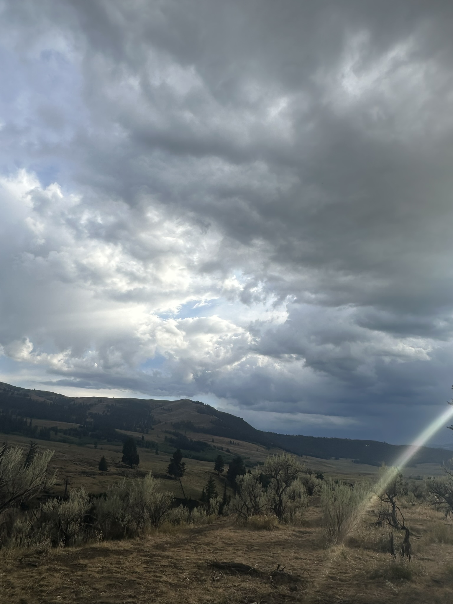 Yellowstone And Grand Teton National Parks - Image 1117